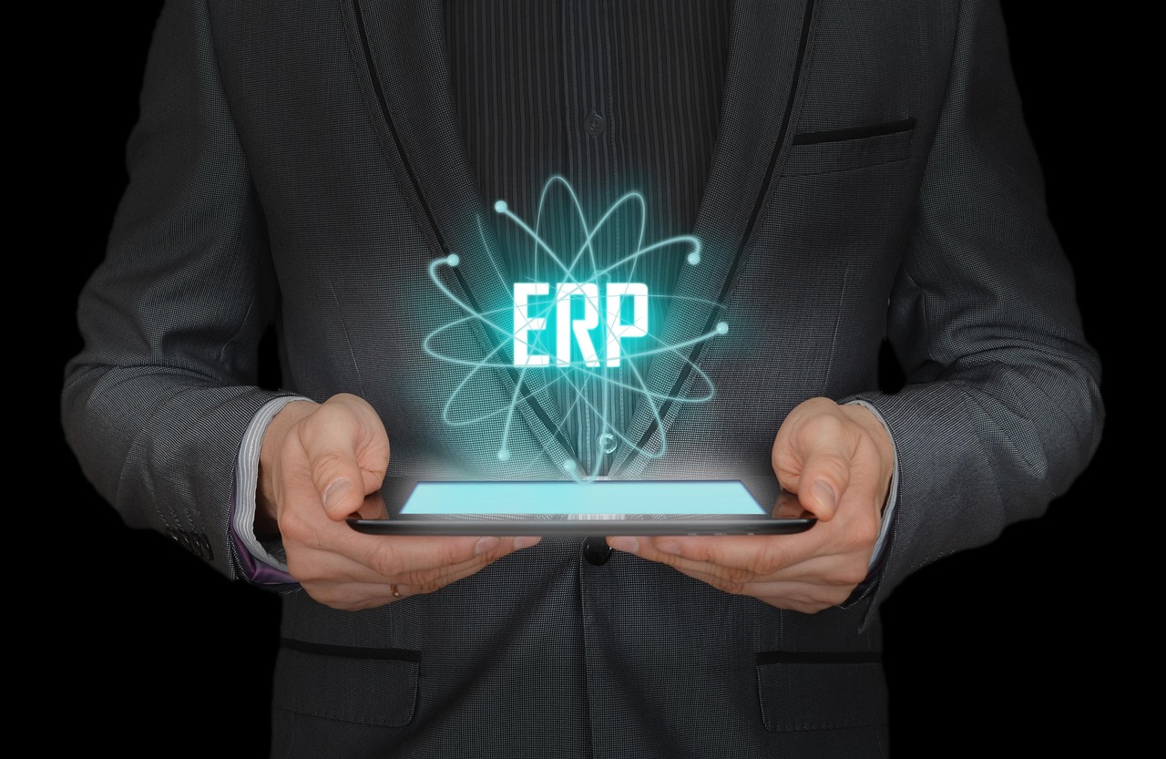 ERP Consultants